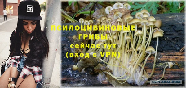 хмурый Гусь-Хрустальный