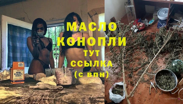 хмурый Гусь-Хрустальный