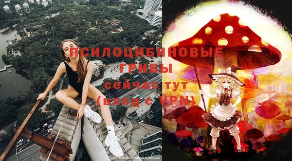 mdpv Гусев