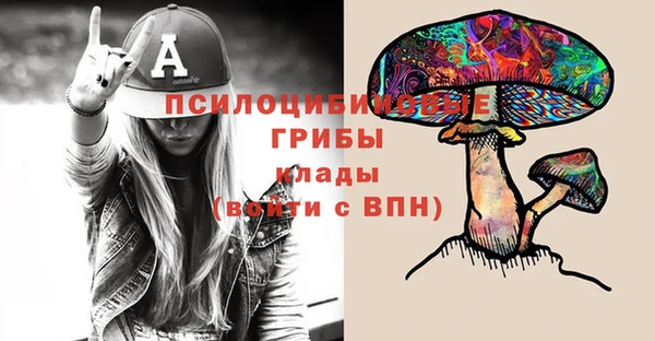 mdpv Гусев