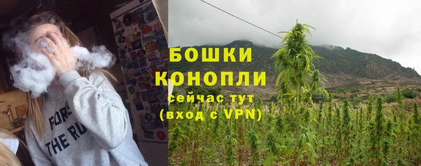 хмурый Гусь-Хрустальный