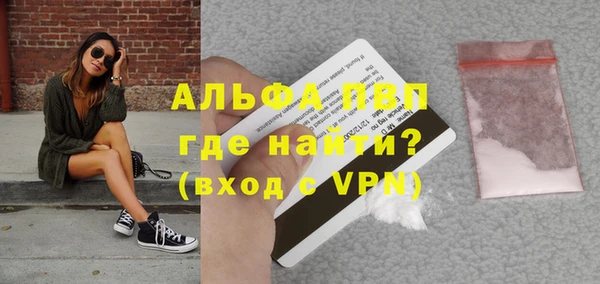 хмурый Гусь-Хрустальный