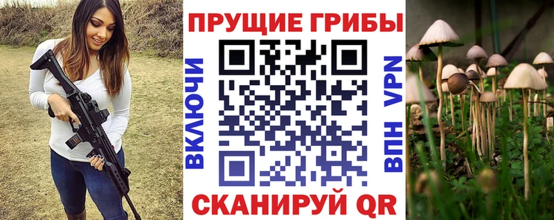 Псилоцибиновые грибы Cubensis  наркота  Кувандык 